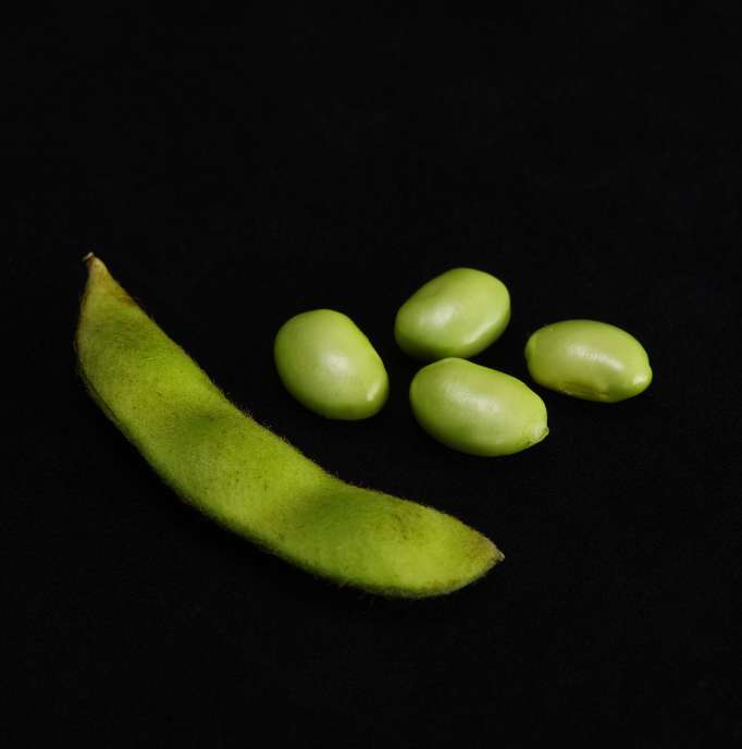 翡翠枝豆