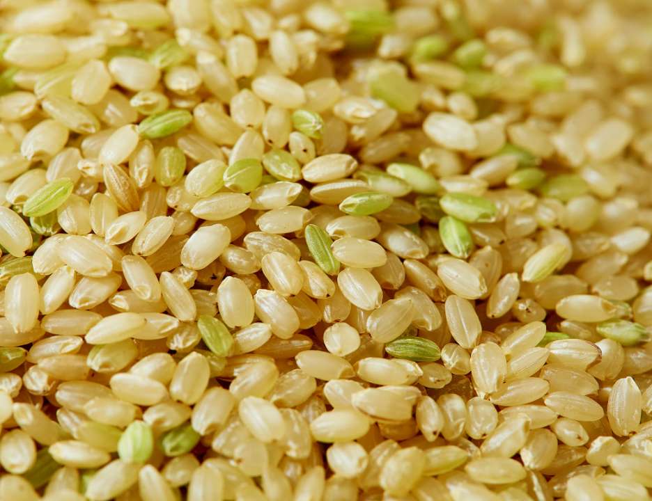 里農園のゆめぴりか 玄米