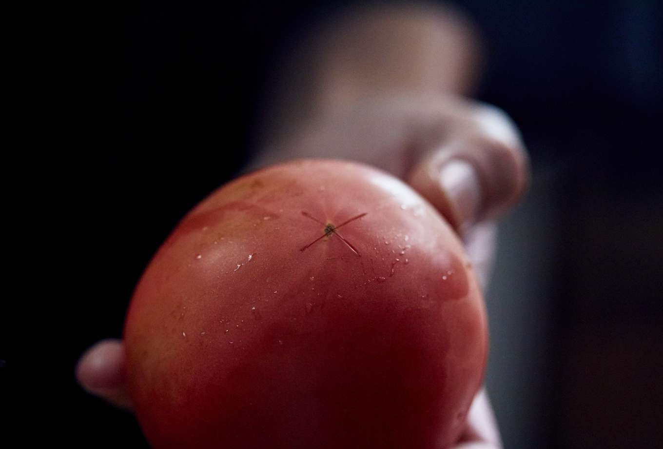 トマトのお尻側の表面に、十字にごく浅い切り込みを入れる。